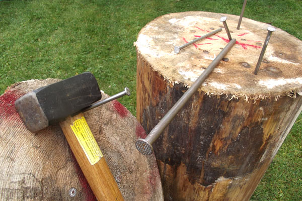 Turniej o Puchar Prezesa — zdjęcie 1